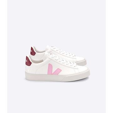 Veja CAMPO CHROMEFREE Men's Low Tops Sneakers White/Pink | CA 193WNB